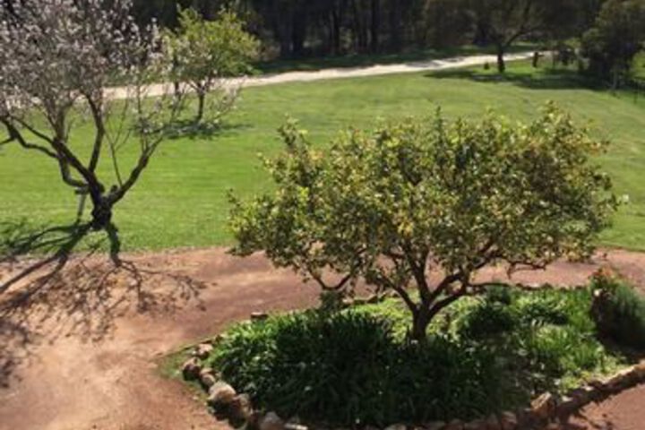 Property Grounds 44 of 49