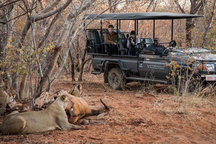 Game drive