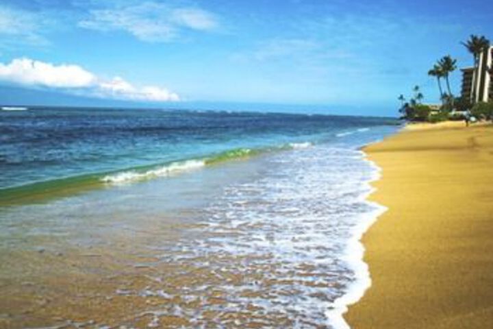 Beach 18 of 97