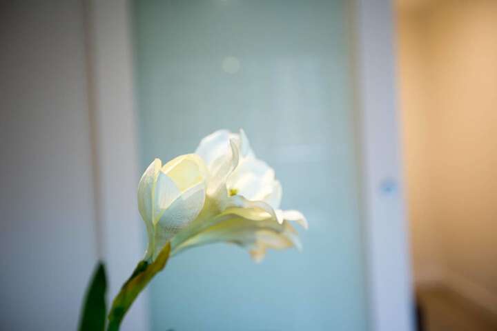 Hotel Interior 18 of 20