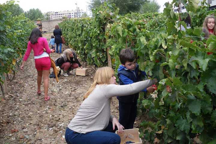 Childrens Activities 24 of 30