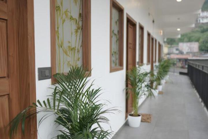 Misty Nest Suite Rooms