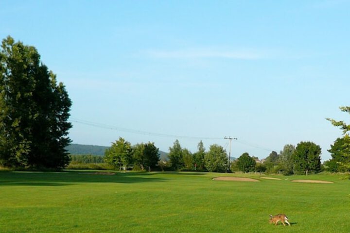 Golf 16 of 40