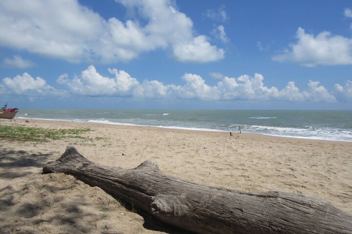 Beach 120 of 159
