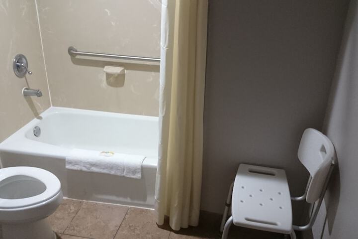 1 King Bed Accessible (13 of 16)