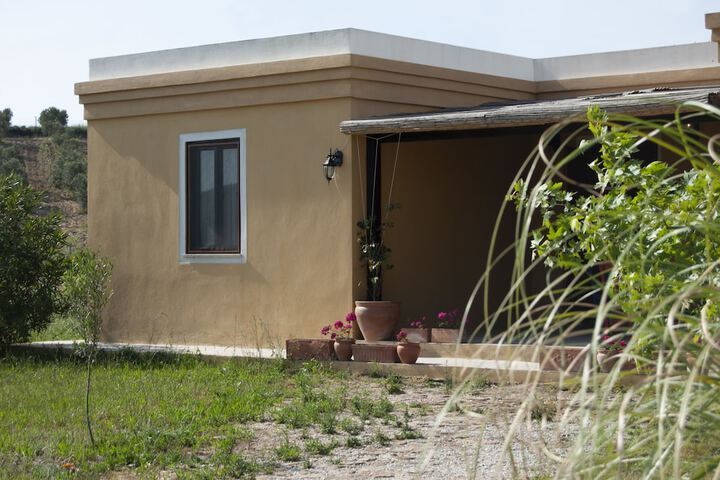 Terrace/Patio 41 of 44