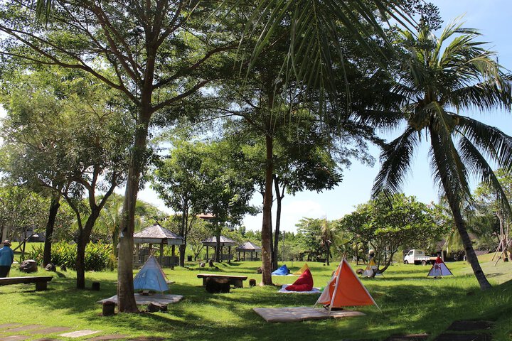 Children's activities