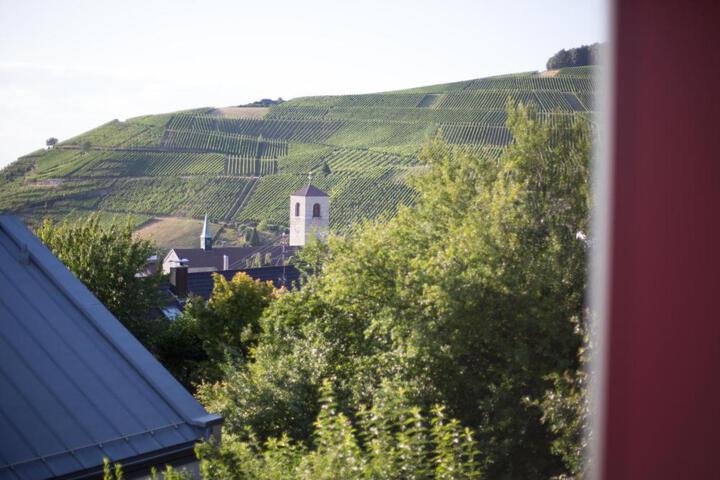 General 43 of 50