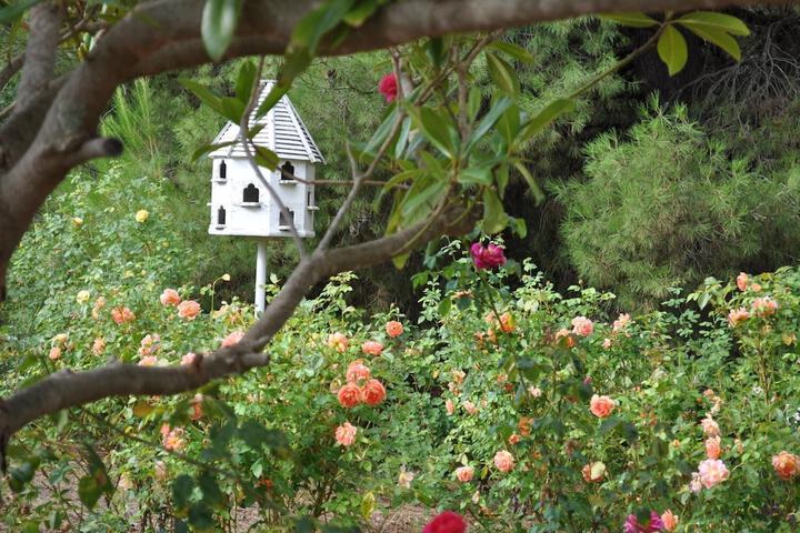 Property Grounds 18 of 22
