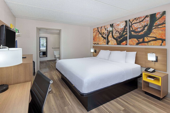 1 King Bed Accessible (6 of 17)