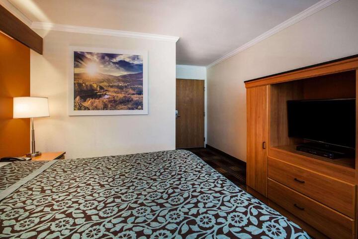 1 Queen Bed Mobility Accessible (9 of 14)