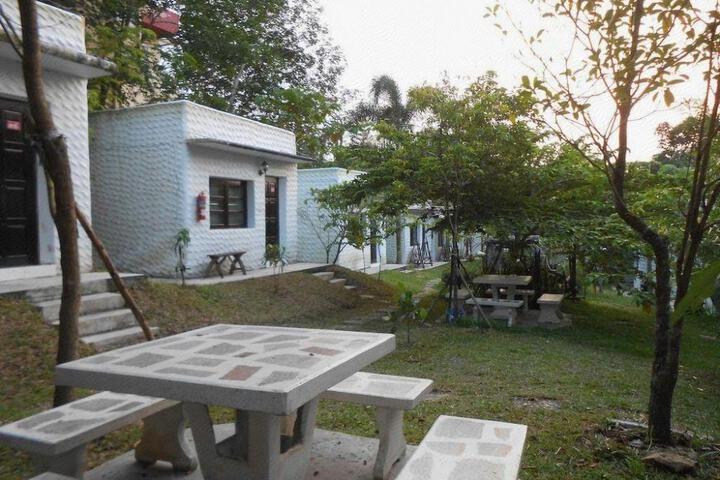 Photo 8