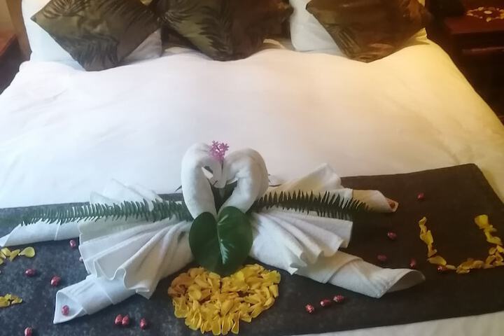 Spa and Wellness