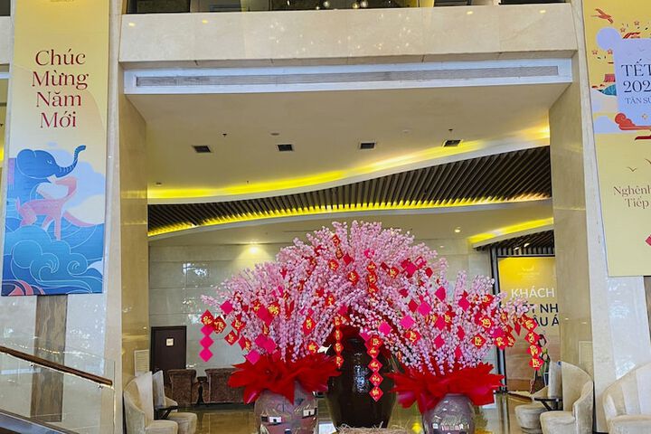 Guest Lobby