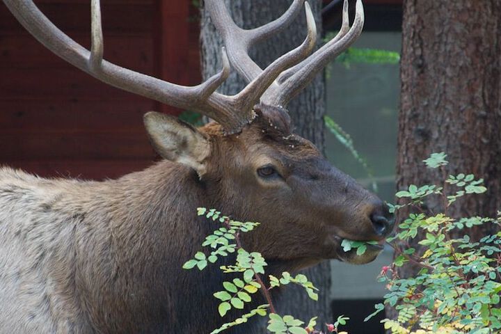 Property Grounds 110 of 137