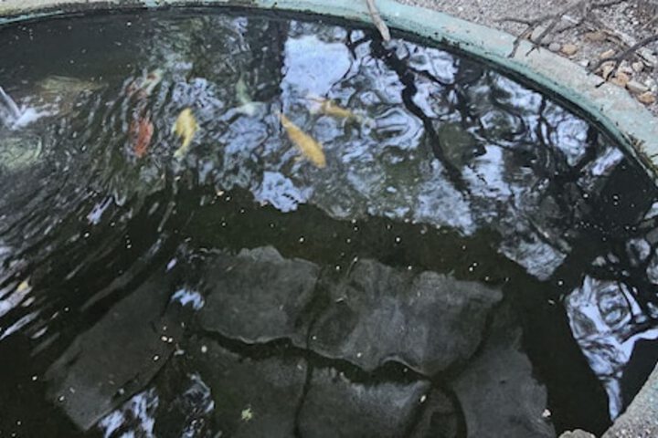 Hotel Exterior 117 of 120