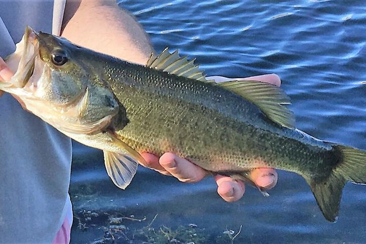 Hotel Interior 31 of 41