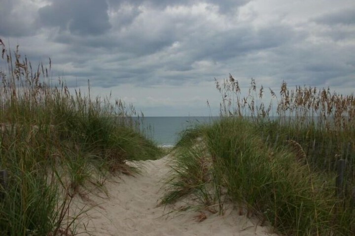Beach 58 of 113