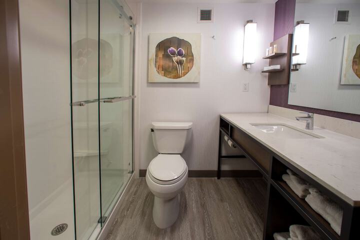 Bathroom shower