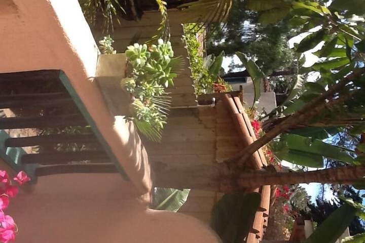 Terrace/Patio 53 of 83