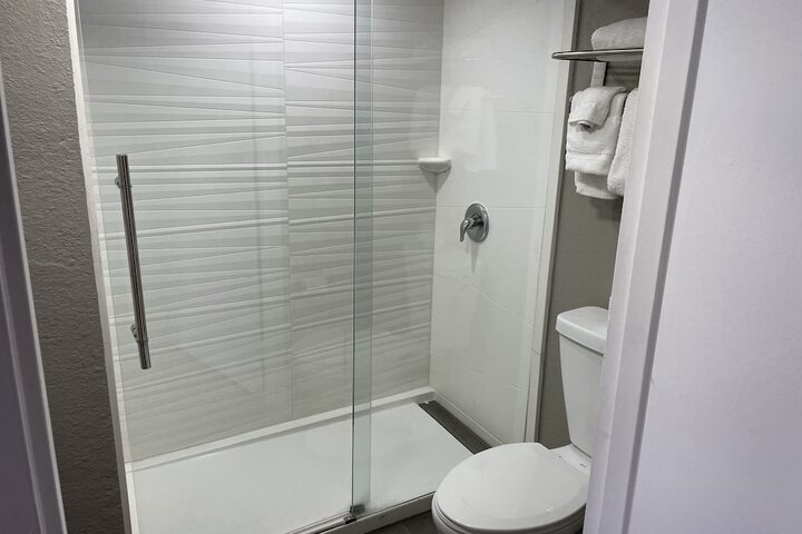 Deluxe Room 1 King Bed Refrigerator, Microwave (10 of 18)
