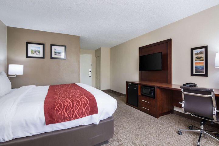 1 King Bed (13 of 19)