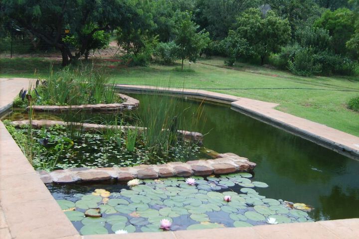 Pool 59 of 79
