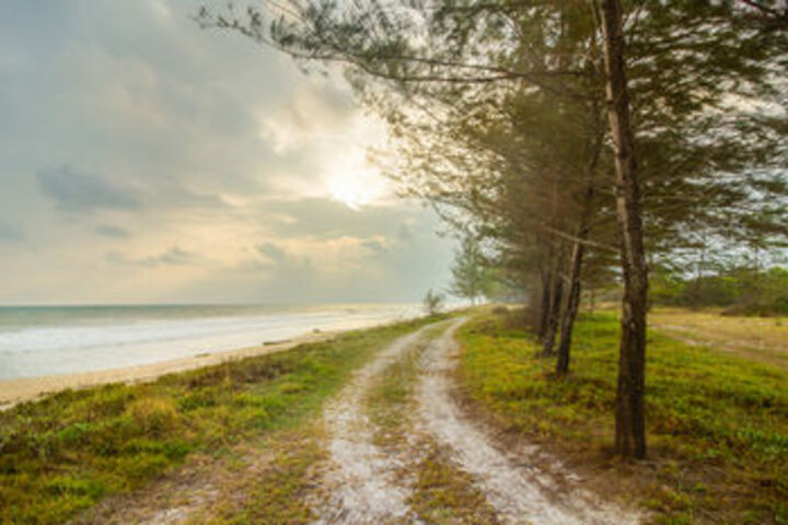 Beach or Ocean View