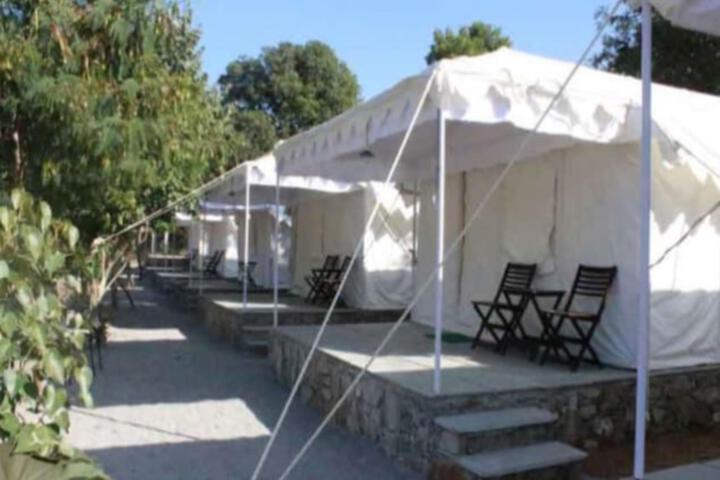Hoppers Leeway Jungle Camp