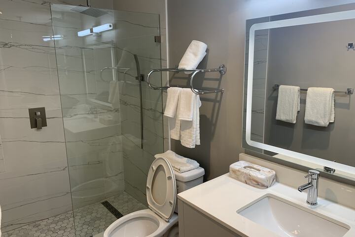 Suite 1 King Bed Mobility Accessible Roll in Shower Sofa Bed Full Breakfast (5 of 23)