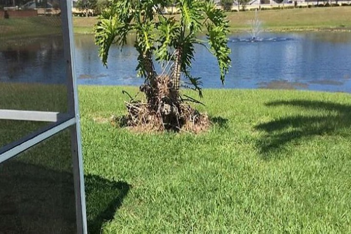 Property Grounds 17 of 17