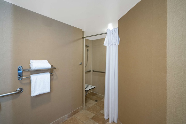 1 King Bed 1 Bedroom Suite (2 of 42)