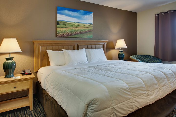 1 King Bed Accessible (7 of 13)