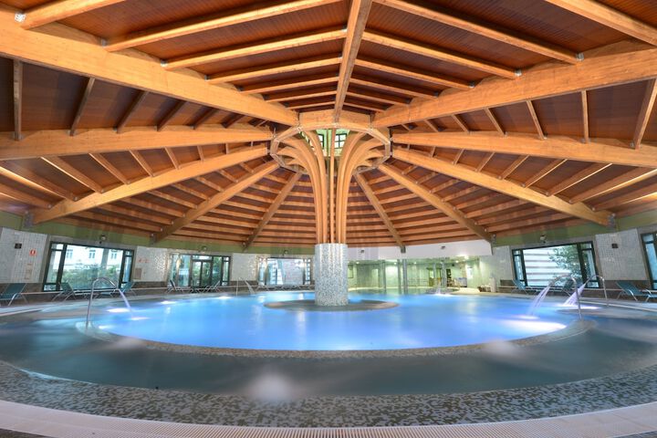 Wellness Treatments