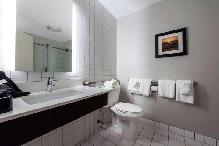 1 King Bed Communication Assistance Microwave, Refrigerator Walk in Shower Full Breakfast (8 of 8)