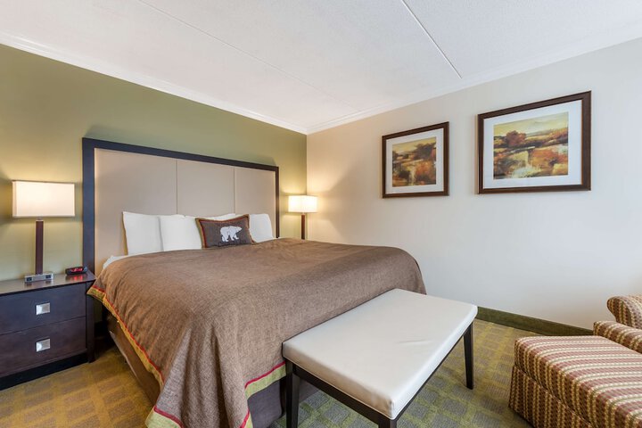 1 King Bed (6 of 19)