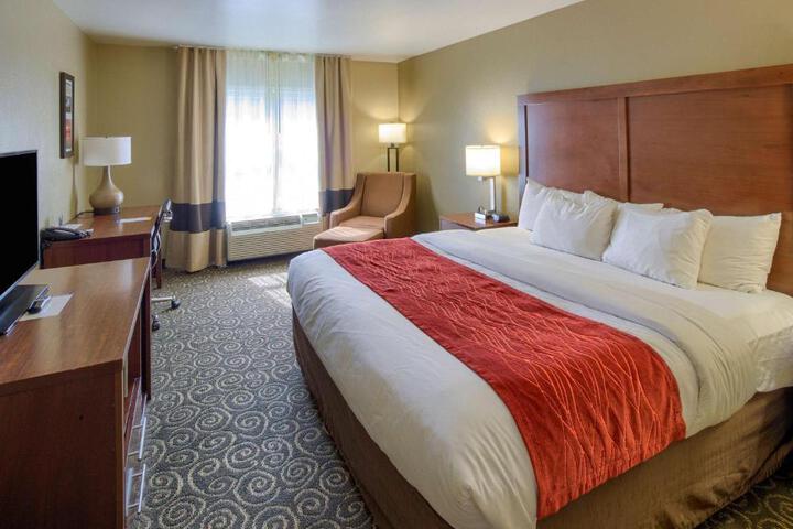 1 King Bed Accessible (6 of 10)