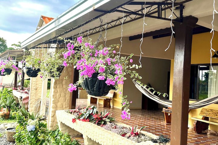 Terrace/Patio 23 of 27