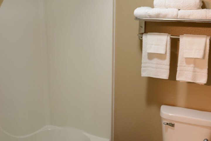 1 Queen Bed Mobility Accessible (9 of 11)