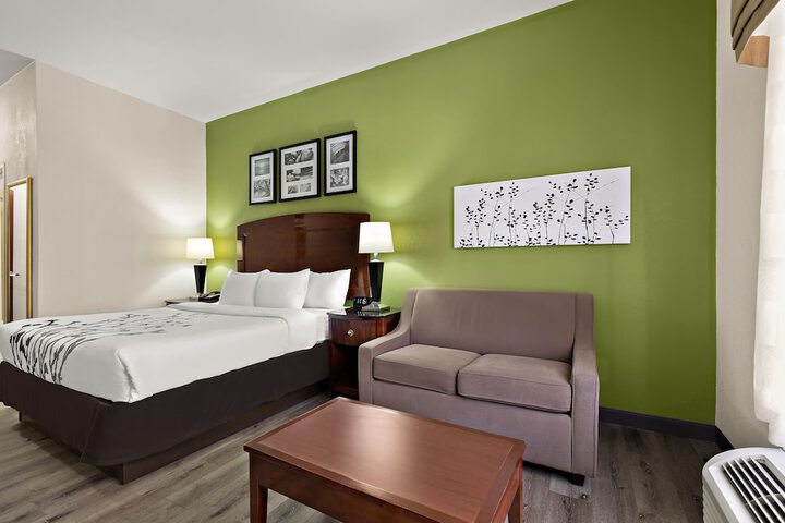 1 King Bed (13 of 19)
