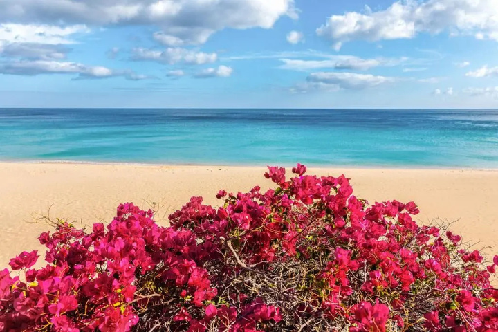 Beach 8 of 13