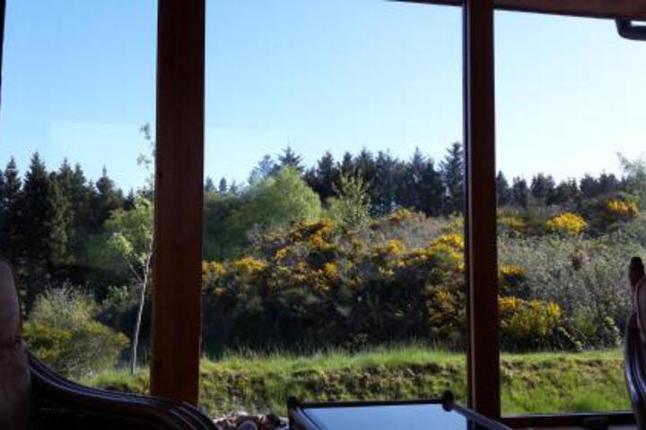 General 11 of 12