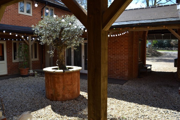 Terrace/Patio 69 of 76