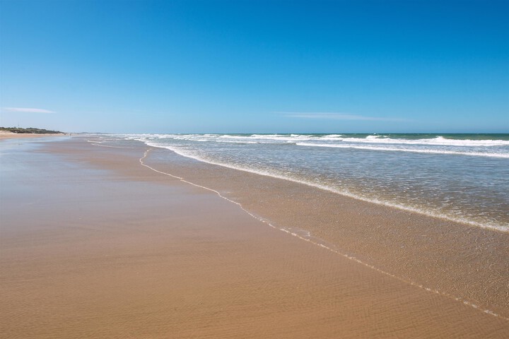 Beach 111 of 126