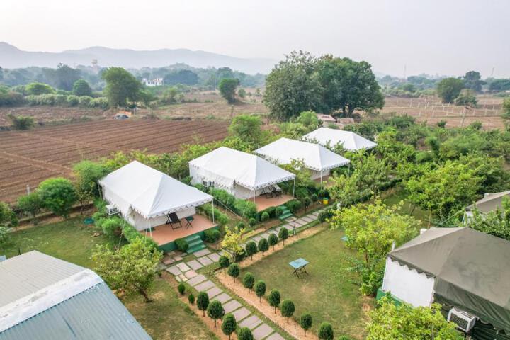 Jungle Book Ranthambore