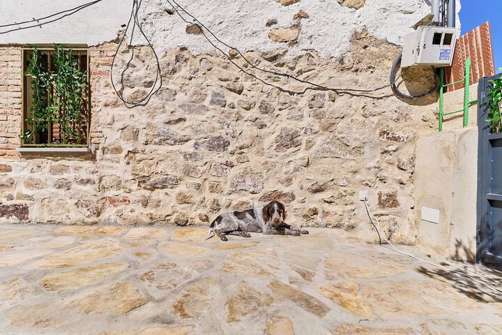 Pet Friendly 51 of 56