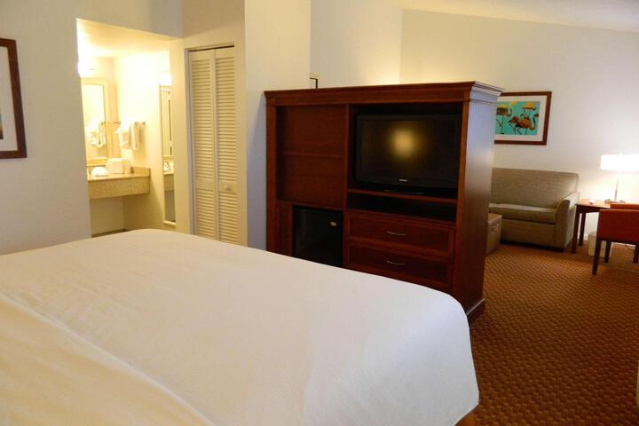 Suite 1 King Bed High Speed Internet Accessible Sofa Bed Refrigerator, Coffee Maker Full Breakfast (19 of 24)