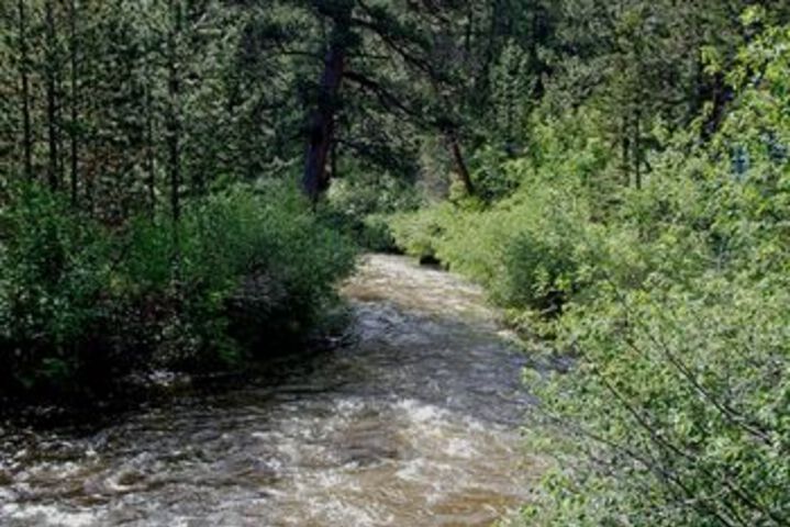 Property Grounds 19 of 26