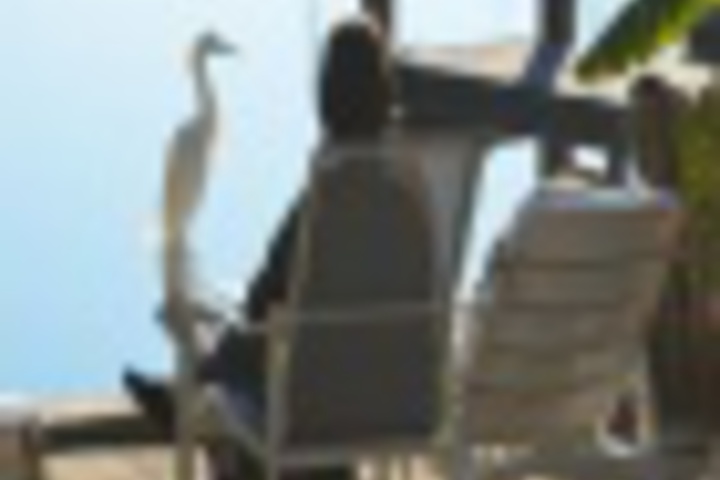 Property Grounds 27 of 576