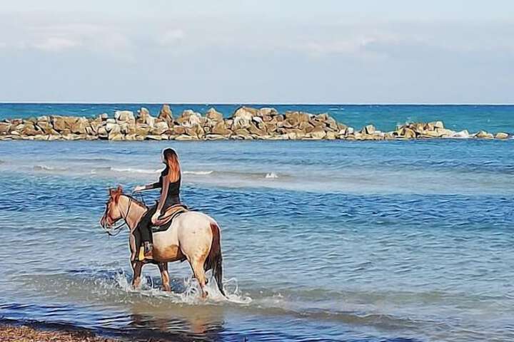 Horseback riding